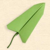 Arrow Shaped Leaf