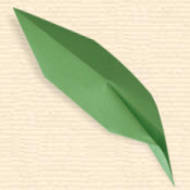 Broadly Lancet Leaf
