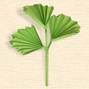 Serrated Rounded Leaf