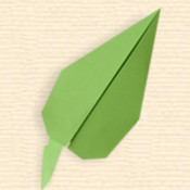Sharp Pointed Leaf