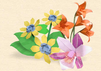 FLOWER COLLECTION 'ASSORTI'