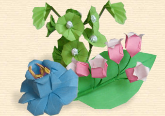 FLOWER COLLECTION 'CHARM'