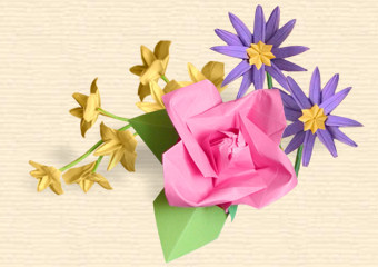 FLOWER COLLECTION 'DELIGHT'