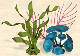 SEA FLOOR COLLECTION