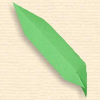 Lancet Leaf