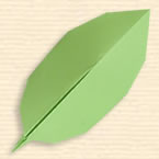 Ovate Acuminate Leaf