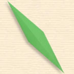 Sharp Thin Leaf
