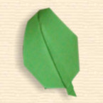 Oval Leaf
