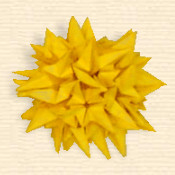 Prickly Kusudama