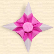 Bi-Color Rays Christmas Star